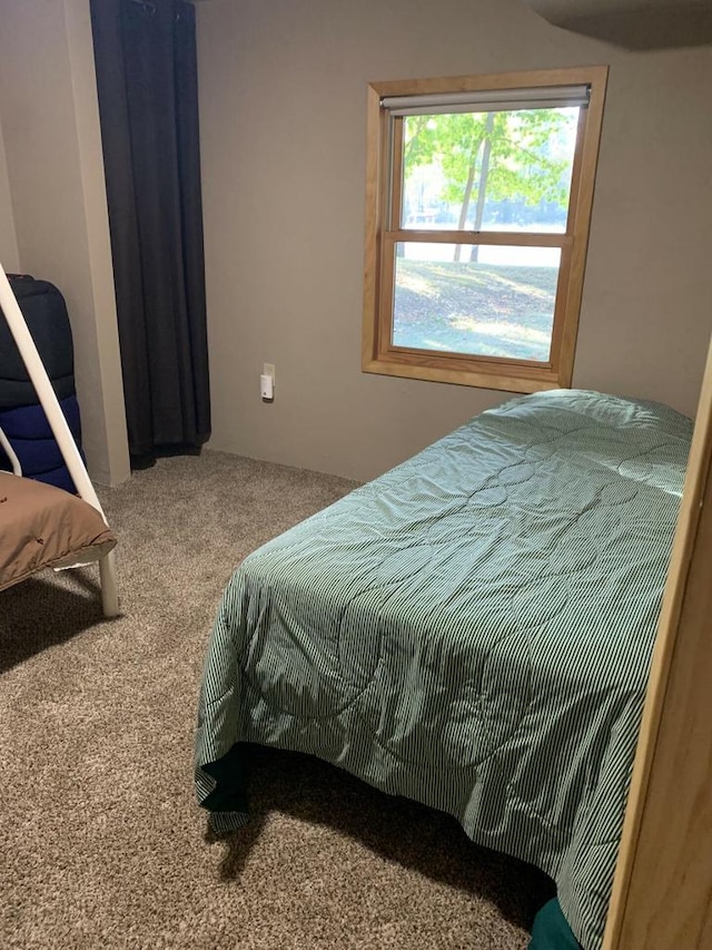 bedroom featuring carpet flooring