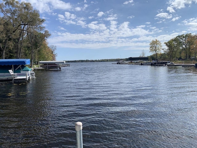 water view featuring a dock