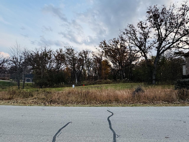 LT34 Oak Ridge Ct, Elkhorn, WI 53121