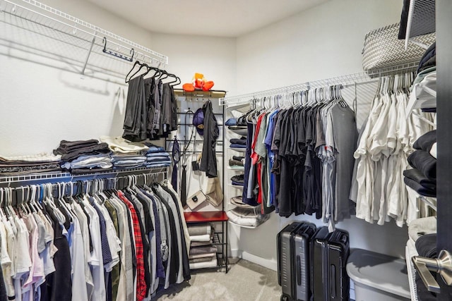 spacious closet with light carpet