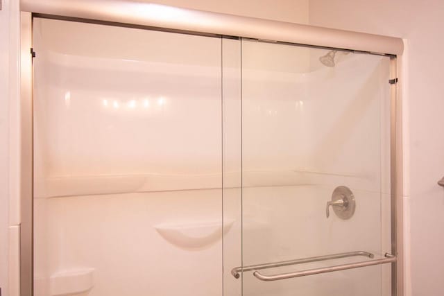 1642 Cottage Dr Unit 7-48, Lake Geneva, WI 53147 - full bathroom featuring a stall shower