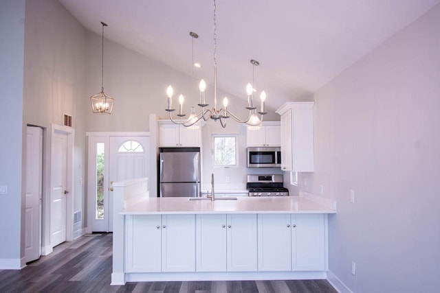 1642 Cottage Dr Unit 7-48, Lake Geneva, WI 53147 - kitchen with a sink, appliances with stainless steel finishes, high vaulted ceiling, and a chandelier