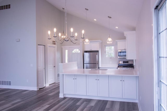 1642 Cottage Dr Unit 7-48, Lake Geneva, WI 53147 - kitchen featuring a sink, appliances with stainless steel finishes, dark wood-type flooring, and visible vents