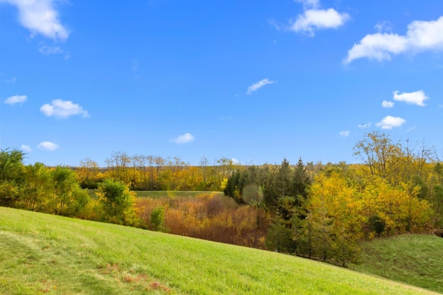 view of landscape