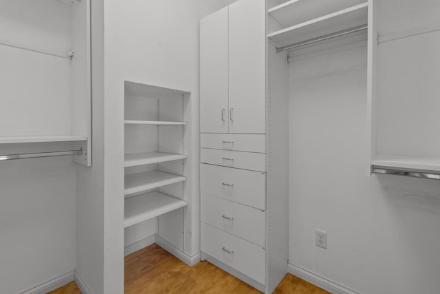 spacious closet featuring light wood-type flooring