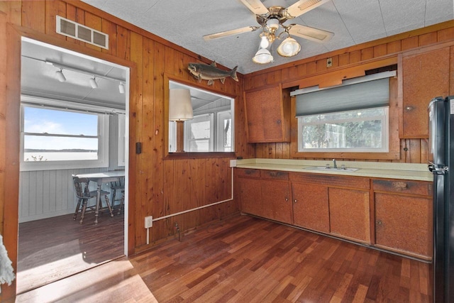 kitchen featuring wooden walls, dark wood-type flooring, sink, rail lighting, and ceiling fan