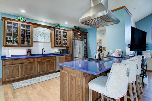 kitchen with light hardwood / wood-style floors, appliances with stainless steel finishes, sink, and island range hood