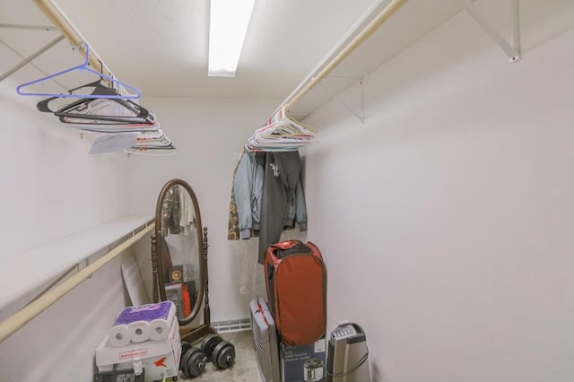 view of walk in closet