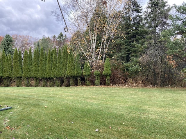 1524 Deer Brook Dr, Two Rivers, WI 54241 - view of green lawn