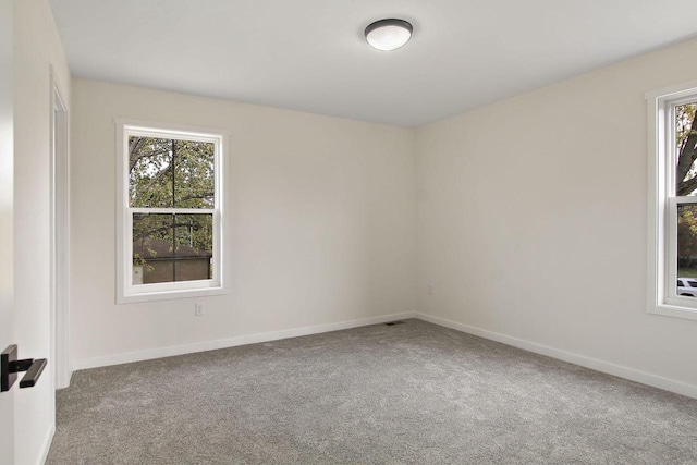 empty room with carpet flooring and plenty of natural light