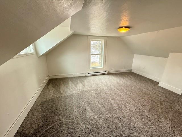 414 8th St, Baraboo, WI 53913 - bonus room featuring a baseboard heating unit, carpet flooring, a textured ceiling, and a wealth of natural light