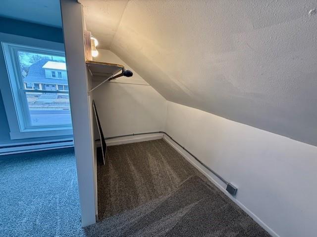 414 8th St, Baraboo, WI 53913 - spacious closet with carpet flooring and vaulted ceiling
