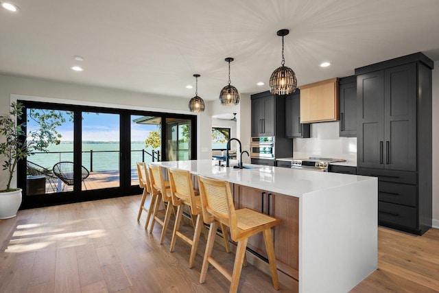 2291 Williams Point Dr, Stoughton, WI 53589 - kitchen with stainless steel appliances, healthy amount of natural light, light wood-style floors, recessed lighting, and light countertops