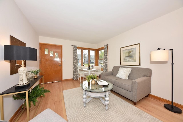 living room with hardwood / wood-style flooring