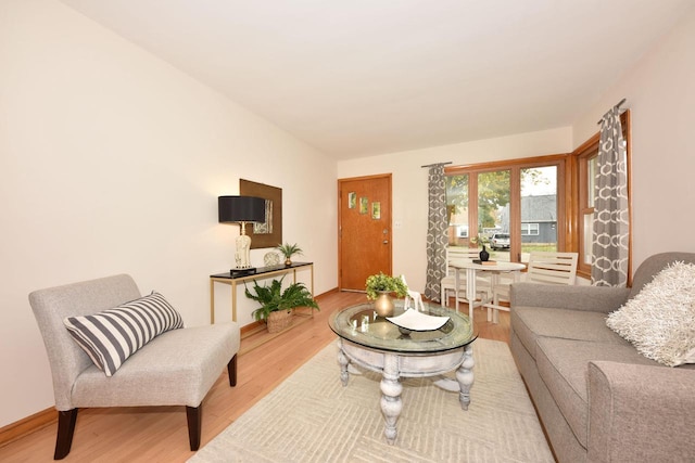 living room featuring wood-type flooring