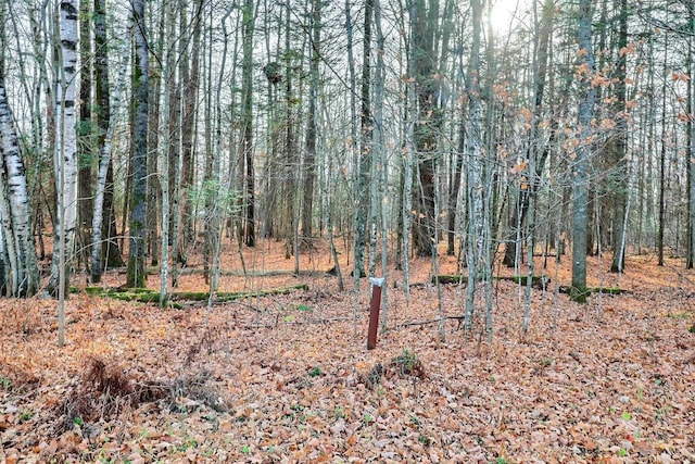 view of local wilderness