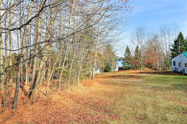 view of yard with a water view