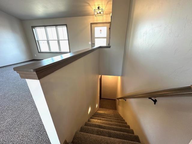 stairway featuring carpet flooring