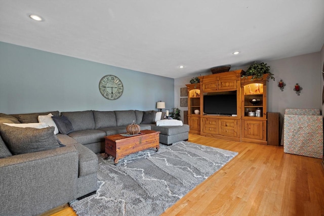 living room with hardwood / wood-style flooring