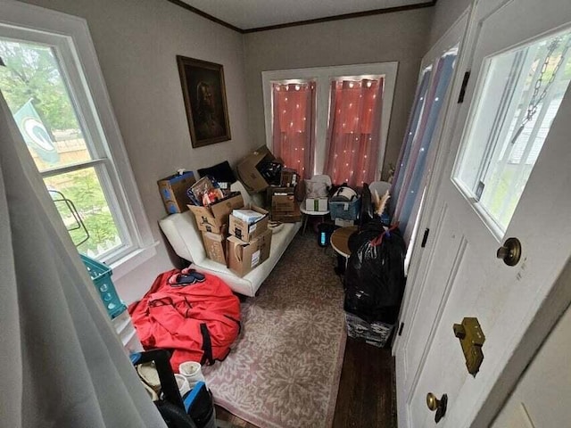 sitting room with hardwood / wood-style flooring and a healthy amount of sunlight