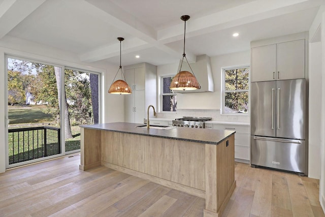 kitchen with light hardwood / wood-style floors, a healthy amount of sunlight, appliances with stainless steel finishes, and pendant lighting