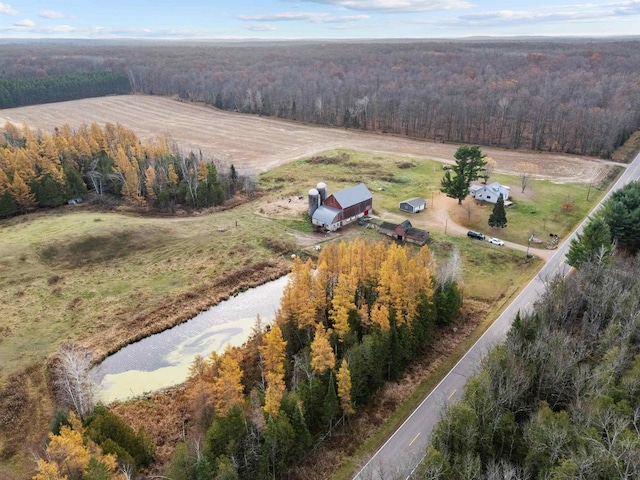 bird's eye view