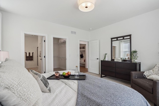 bedroom with a closet, ensuite bath, and a walk in closet