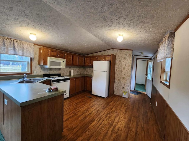 kitchen featuring lofted ceiling, dark hardwood / wood-style floors, sink, and white appliances