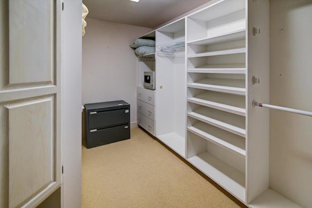 spacious closet with carpet floors