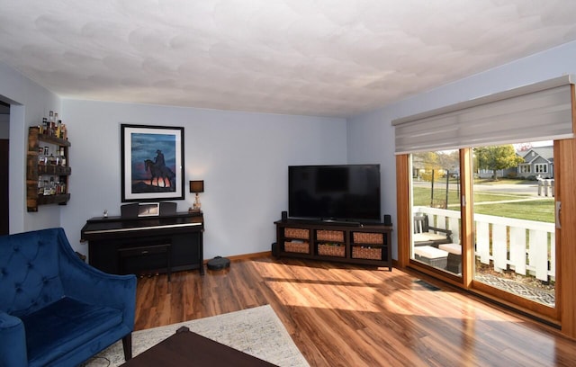 living room with hardwood / wood-style flooring