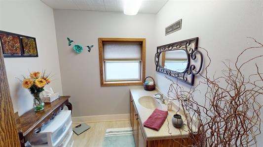 bathroom with vanity and wood-type flooring