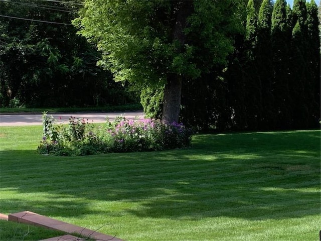 view of home's community featuring a lawn