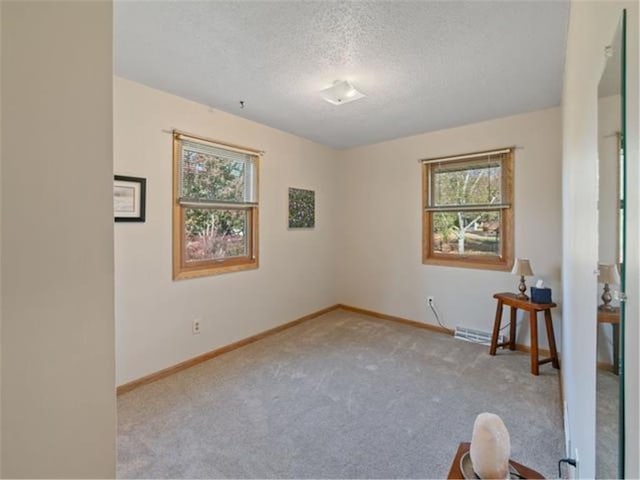 empty room featuring a textured ceiling, plenty of natural light, and light carpet