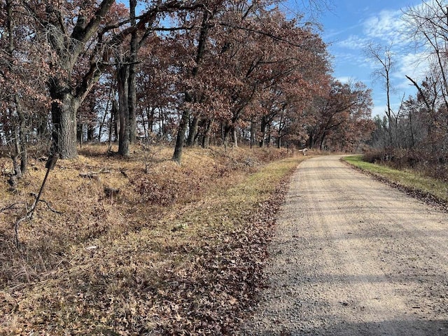 Listing photo 3 for 39ACRES Cottonville Ave, Friendship WI 53934