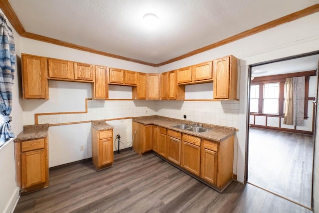 kitchen with tasteful backsplash, a textured ceiling, ornamental molding, dark hardwood / wood-style floors, and sink