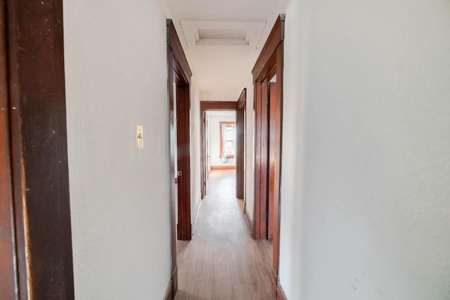 hall with light hardwood / wood-style floors