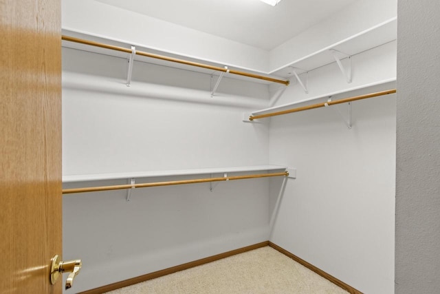 walk in closet featuring light carpet