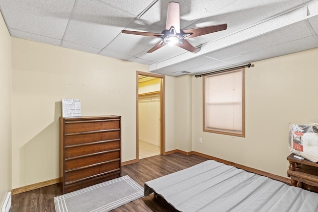 bedroom featuring a drop ceiling, dark wood-type flooring, ceiling fan, a spacious closet, and a closet