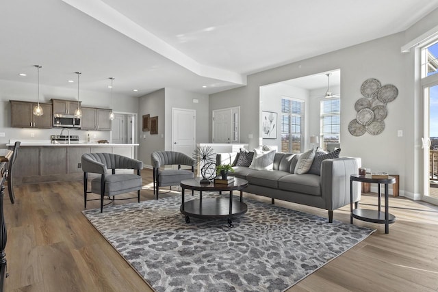 living room with dark hardwood / wood-style floors