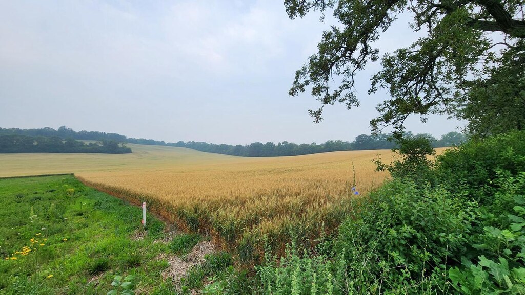 LT2 County Road Nn, Mukwonago, WI 53149