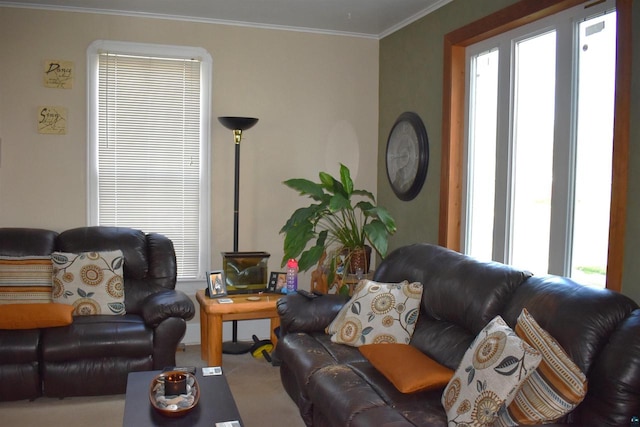 living room featuring carpet flooring and crown molding