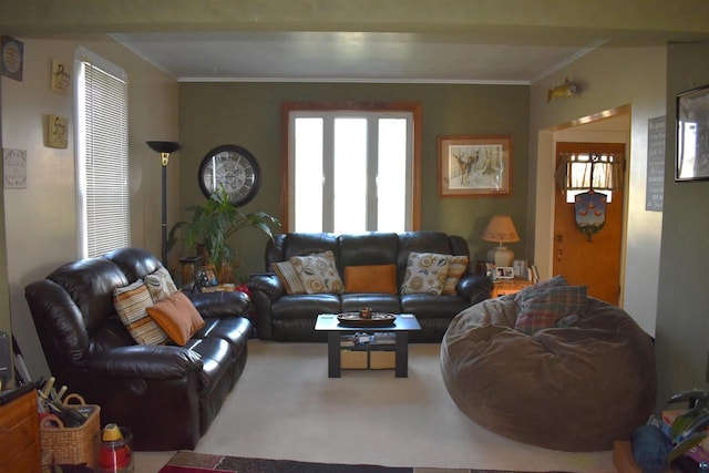 living room featuring crown molding