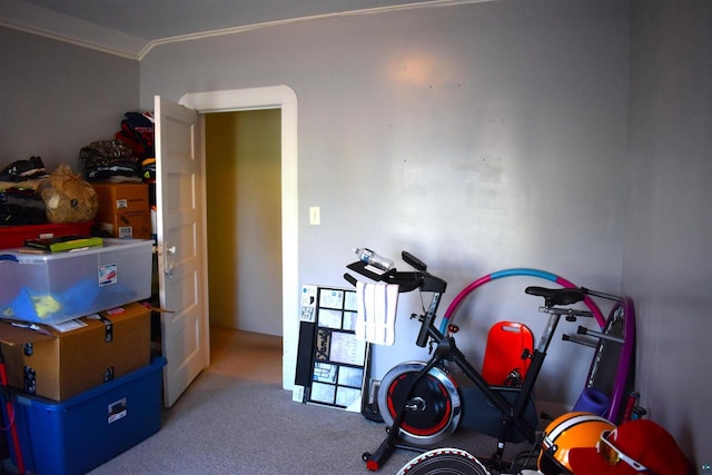 workout area with light carpet and crown molding