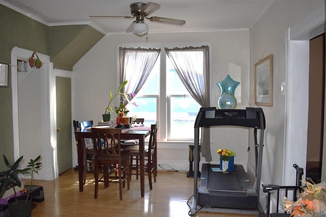 dining room with ceiling fan, light hardwood / wood-style floors, and crown molding