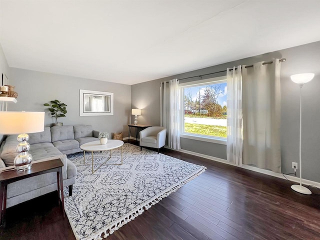 living room featuring dark wood-type flooring