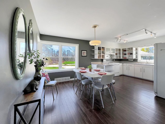 dining area featuring sink, dark hardwood / wood-style floors, and plenty of natural light