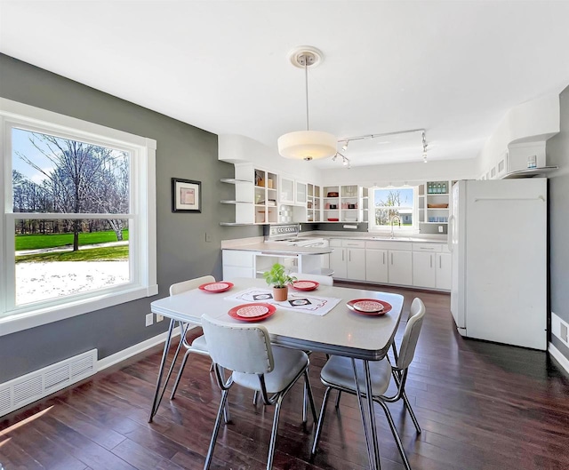 dining area with dark hardwood / wood-style flooring, sink, and a wealth of natural light