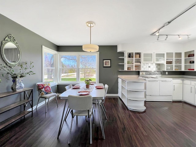 dining space featuring dark hardwood / wood-style flooring