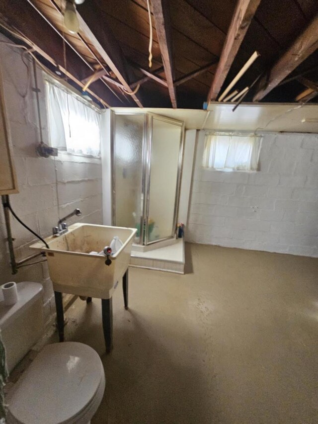 basement with sink