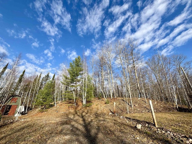 view of local wilderness